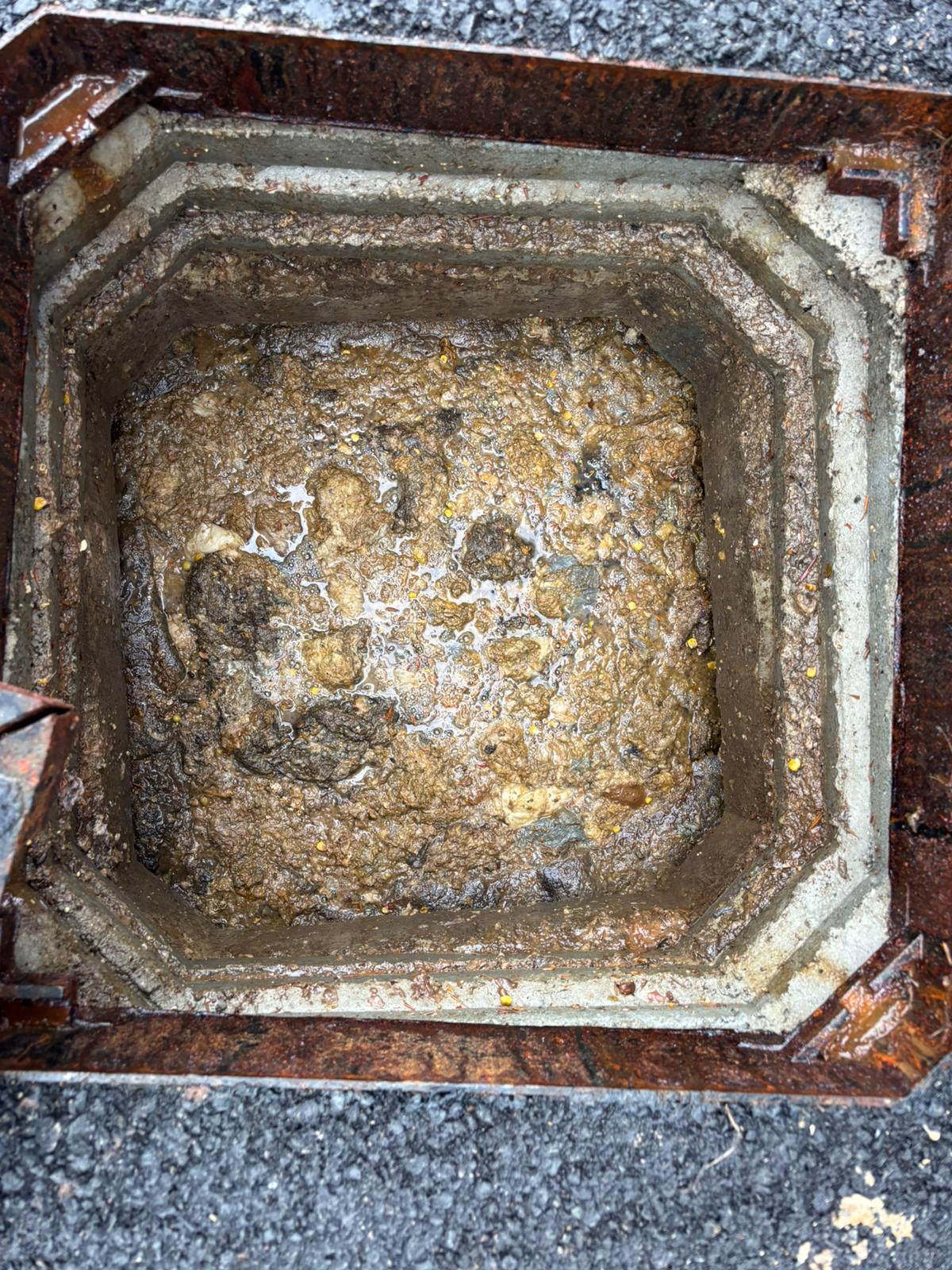 WhatsApp Image 2025 02 03 at 21.20.44 (2)